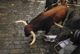 Spain: 9 injured, no one gored in final Pamplona bull run 